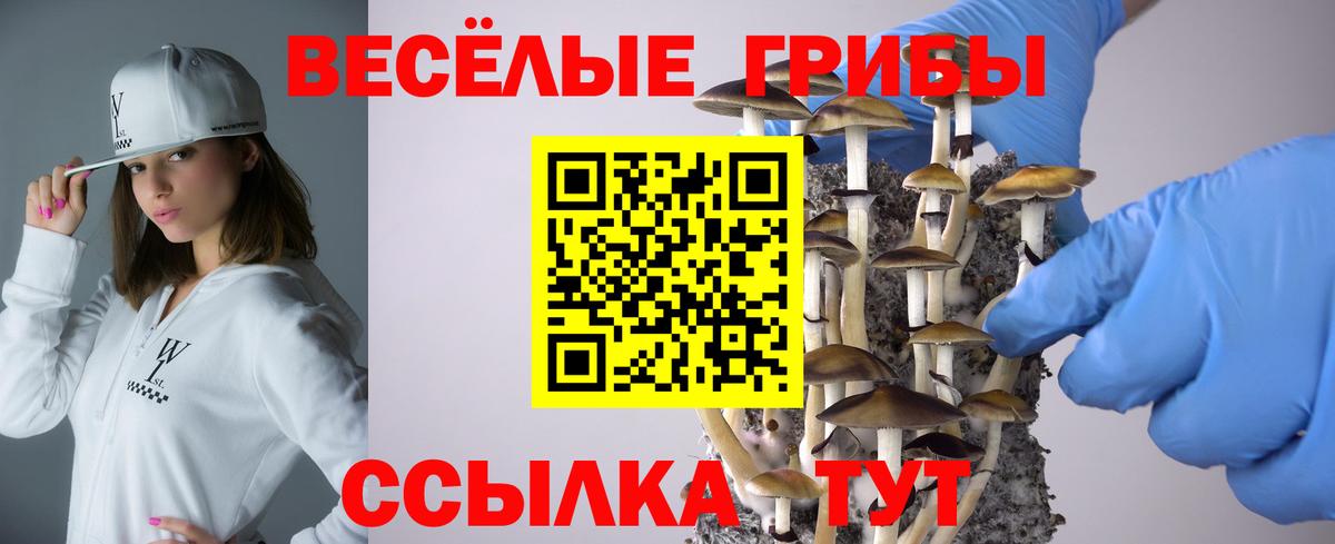 Галлюциногенные грибы прущие грибы Великие Луки