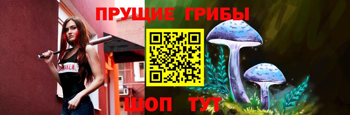Псилоцибиновые грибы Psilocybine cubensis  Вход с VPN  Великие Луки 